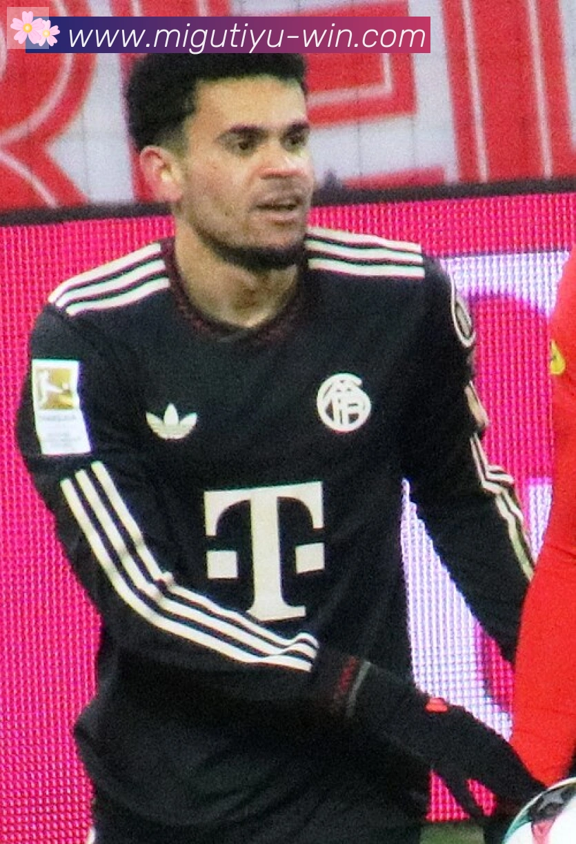维尔茨
